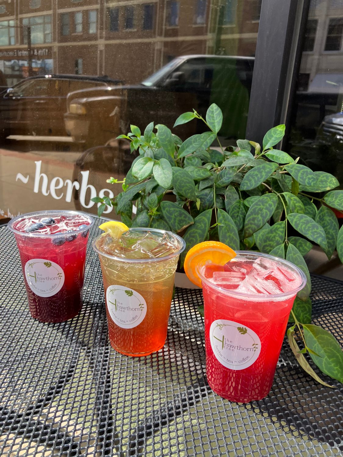 Botanical Sodas