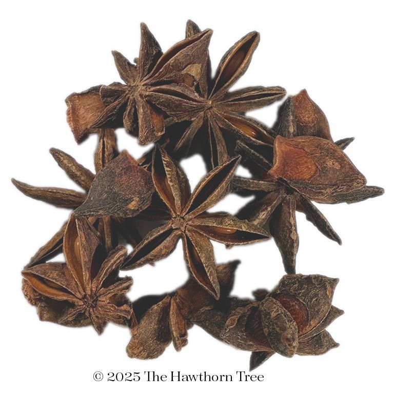 Star Anise Whole - Packaged