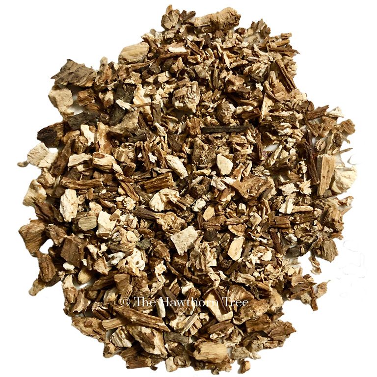 Angelica Root Organic - Packaged