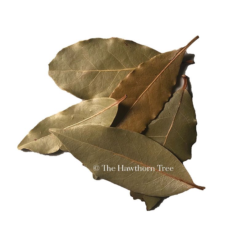 Bay Leaf Organic - Prepackaged