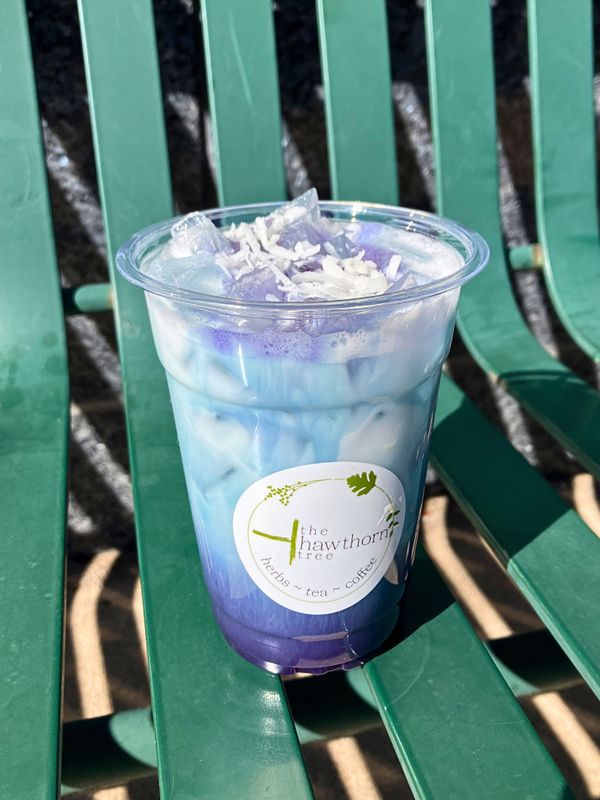 Coconut Blue Raspberry Matcha Coconut Blue Raspberry Matcha