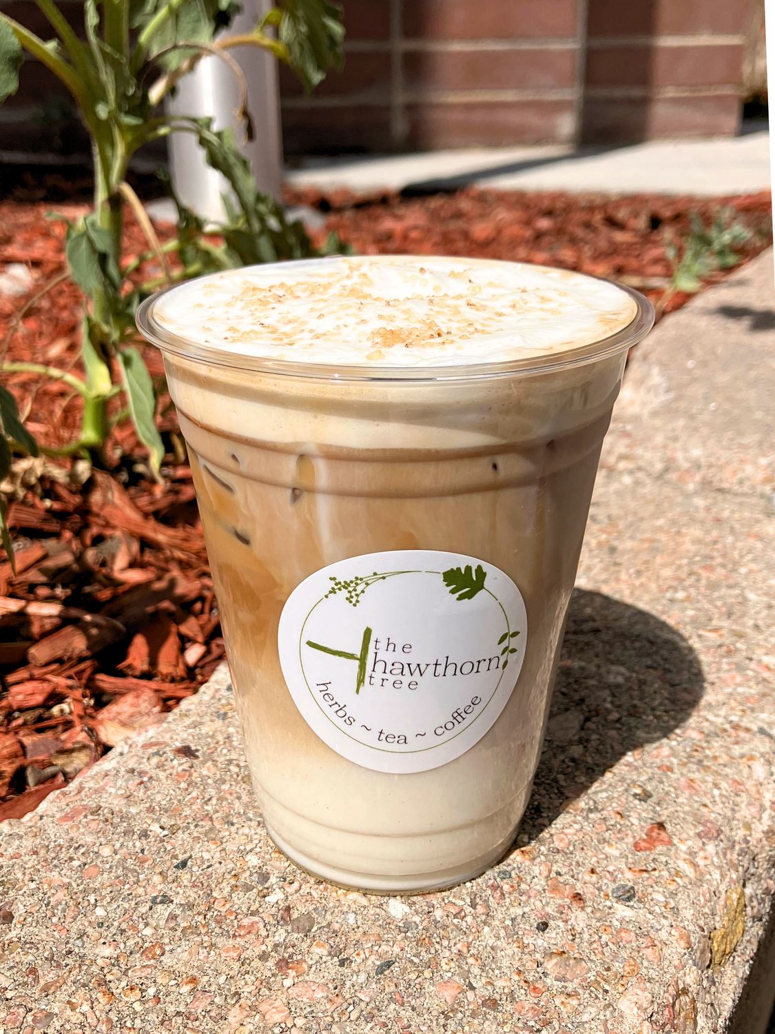 Midnight Rider Latte