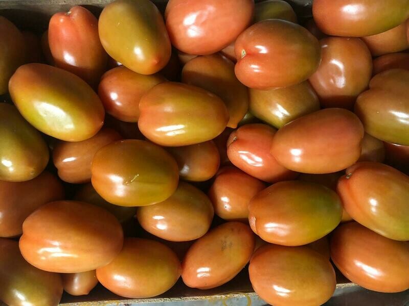 Pomodori San Marzano Extra