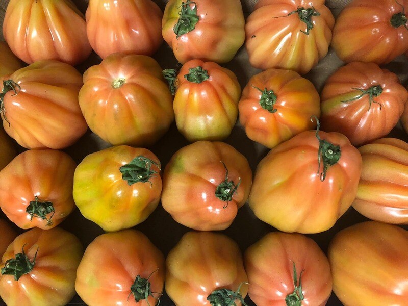 Pomodori merinda o cuore di bue 