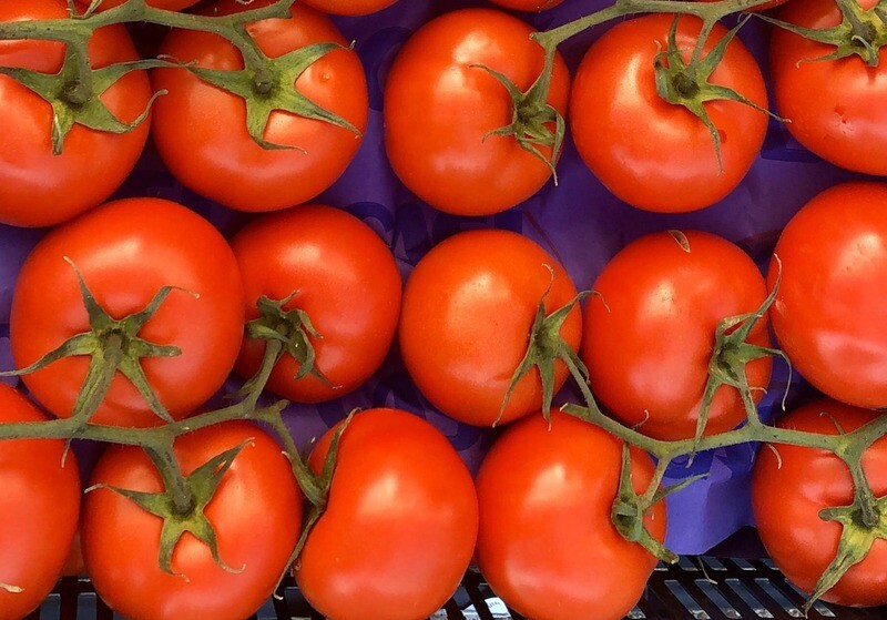 Pomodoro maturo Siciliano 