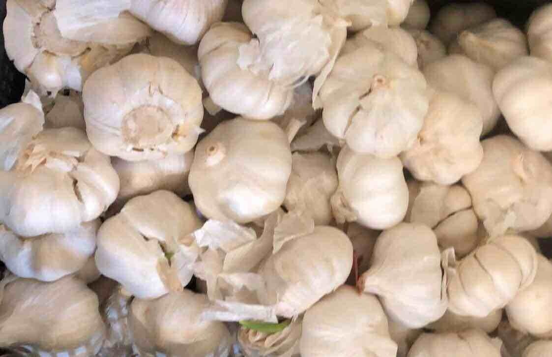 Aglio
