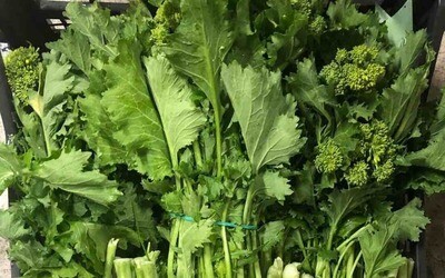 Cime di Rapa (mazzo da 350gr) Cime di Rapa (mazzo da 350gr)
