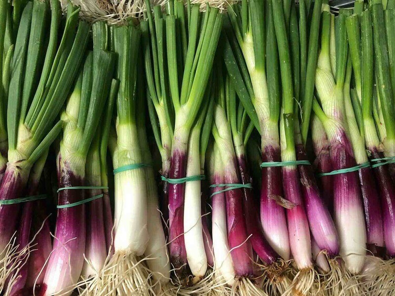 Cipollina fresca  (al mazzo 350g circa)