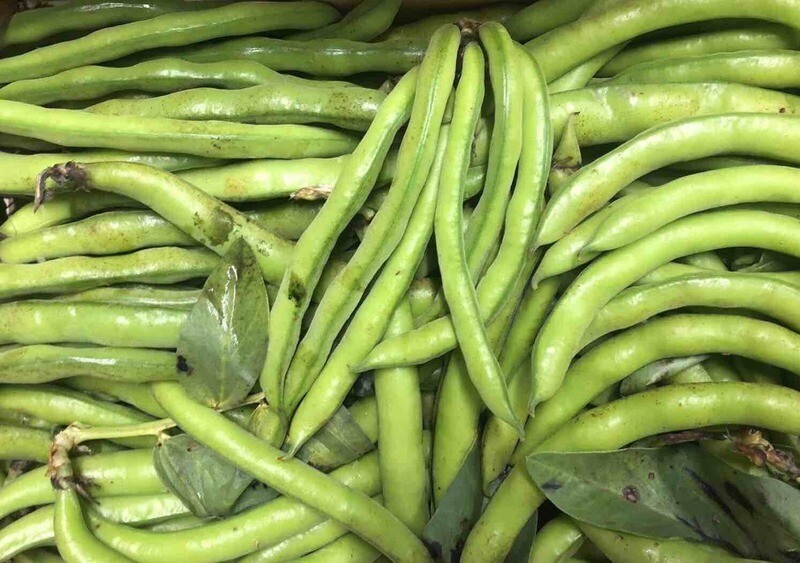 Fave Extra (busta da 1 kg)