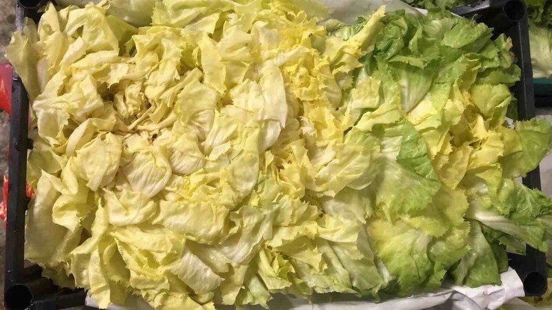 Insalata Scarola (venduta a caspo)