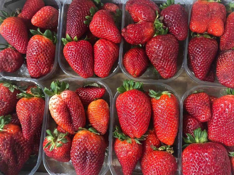 Offerta Fragole nostrane (cestino da 250 gr)