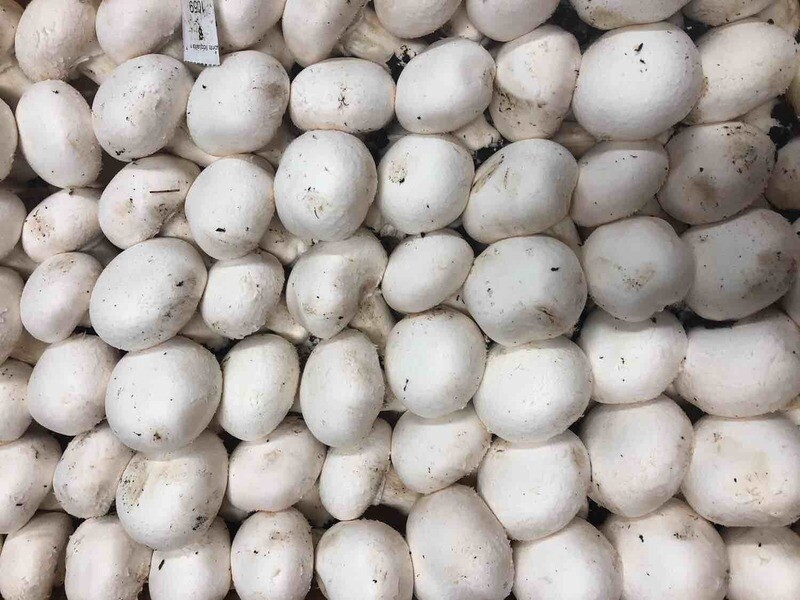 Funghi Champignon (confezione da 500gr)