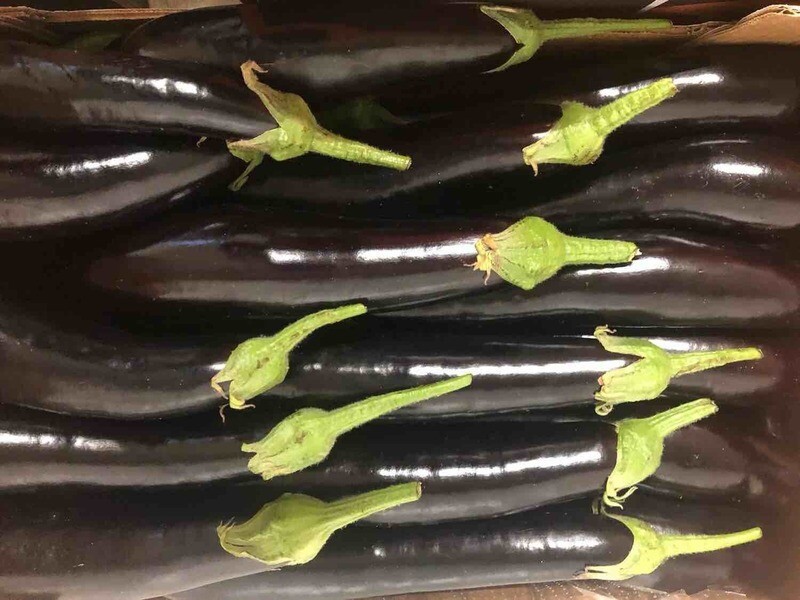 Melanzane lunghe siciliane  