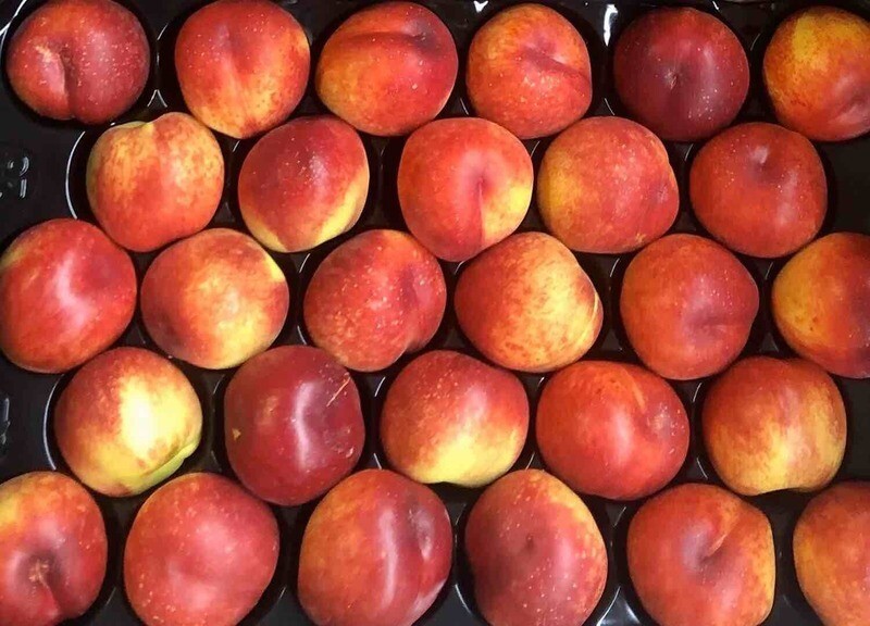 Nettarine  🇮🇹