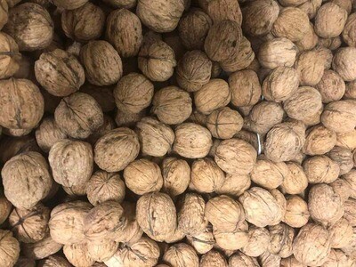 Noci (confezione Circa da 500gr) Noci (confezione Circa da 500gr)