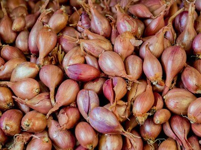 Scalogno (confezione 250g) Scalogno (confezione 250g)