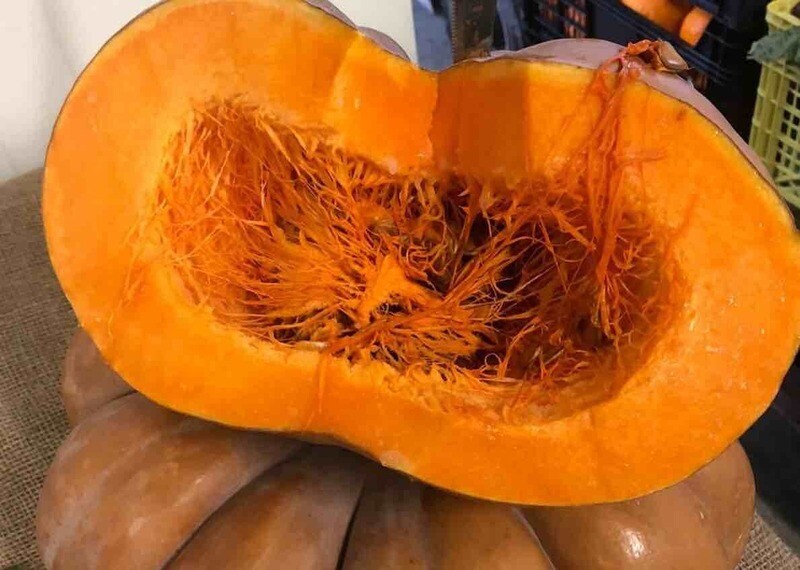 Zucca a fette (fette da circa 1kg)