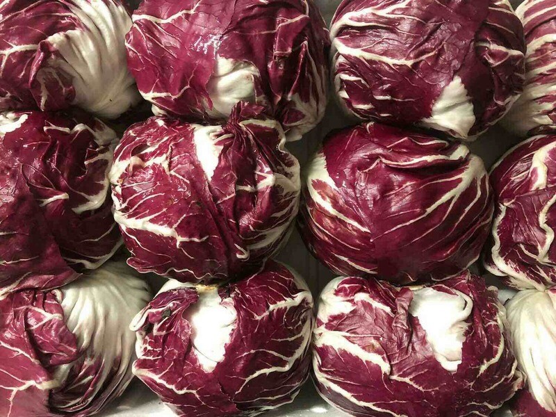 Radicchio Rosso (venduto a caspo)