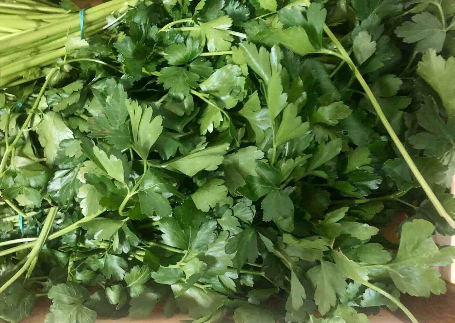 Prezzemolo (mazzo da circa 80gr)