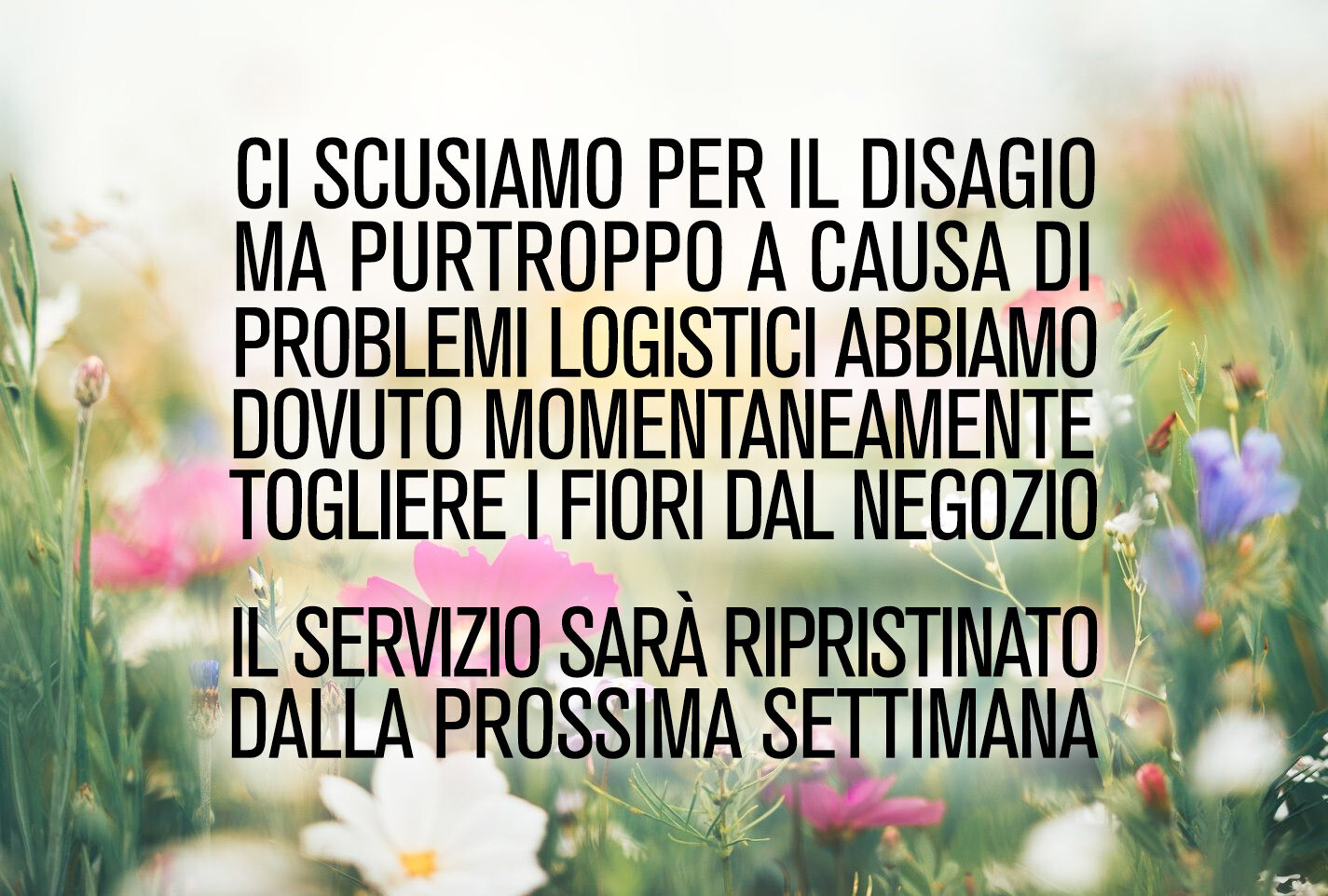 FIORI NON DISPONIBILI