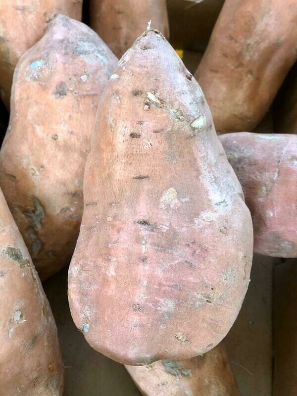 Patate dolci (vendute a pezzo - cad. circa 600gr)