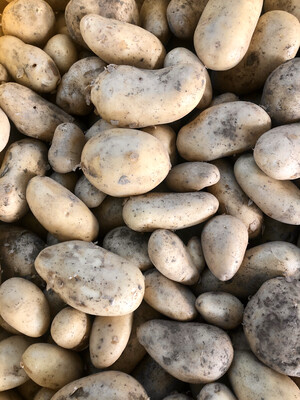 Patate Nuove (busta da 1kg) Patate Nuove (busta da 1kg)