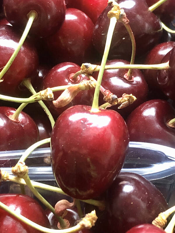 Ciliegia Corniola 🍒  (Roncofreddo) Conf.1kg