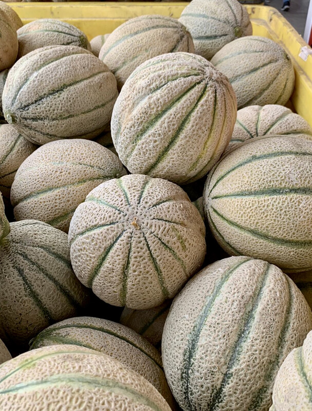 Meloni  Retati extra (OFFERTA) 