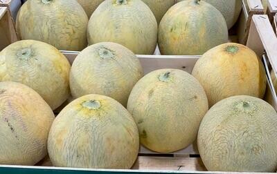 Melone Tamaris Mantovano 🇮🇹