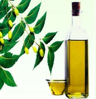 NEEM OIL  - வேப்ப எண்ணெய்