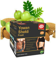 Meghdoot Ayurvedic Yowan Shakti Prash 200g