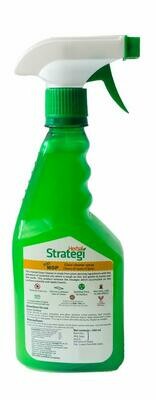 Strategi Herbal Glass Cleaner Spray 500ml