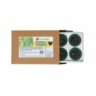Strategi Herbal Instant Sambrani Cups 6nos