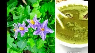 VRIKTSHA HERBS THOOTHUVALAI KEERAI SOUP POWDER - 50g