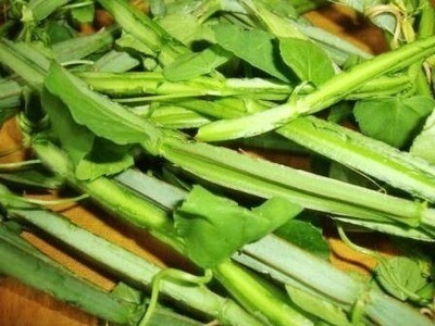 VRIKTSHA HERBS PIRANDAI SOUP POWDER - 50g