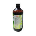 Baidyanath Ayurvedic Saraswatarishta Syrup 450ml