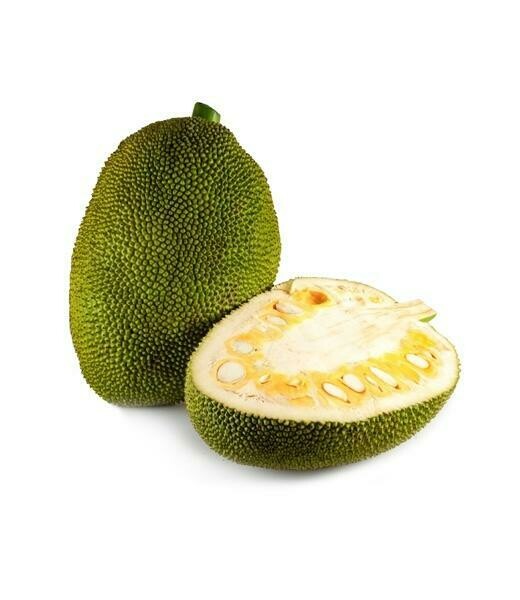 JACKFRUIT IDLY PODI | பலாக்காய் இட்லி பொடி