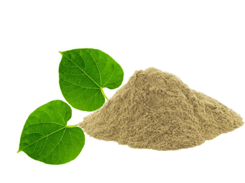Guduchi Giloy Powder 100g (Tamil: சீந்தில் கொடி Sindhil Kodi) (Sanskrit: अमृतवल्ली Amruthvalli)