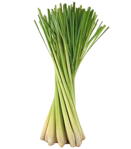 Strategi Lemongrass Essential oil - 50ml
