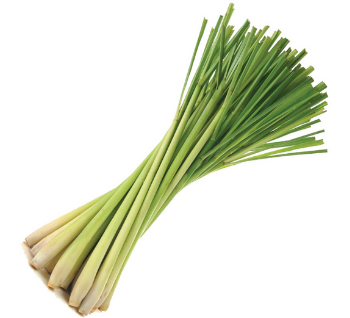 Strategi  Citronella Essential Oil - 50ml