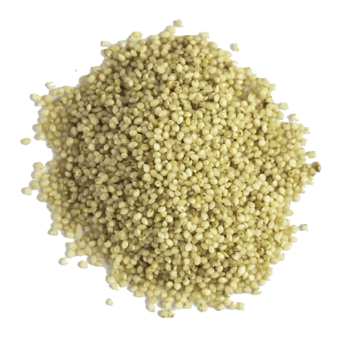 SWADESHI SAMAI - LITTLE MILLET - சாமை - 500g