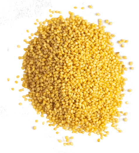 SWADESHI THINAI - FOXTAIL MILLET - தினை - 500g