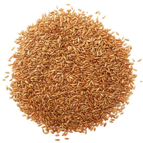 Swadeshi Unpolished Traditional Moongil -Bamboo  Rice - 200g