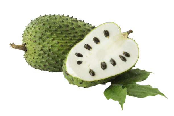 ANJANEYA GRAVIOLA / SOURSOP FRUIT DRINK - 500ml