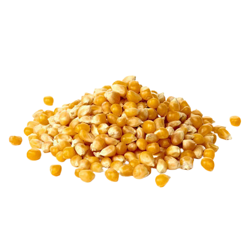 Swadeshi Corn - Makka Cholam