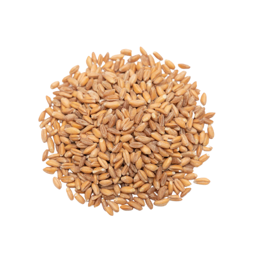 SWADESHI EMMER WHEAT - 1kg