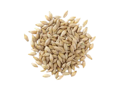 Swadeshi Jow - Barley Wheat - 1 Kg