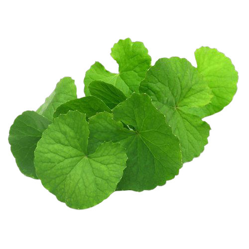 VALLARAI LEGIYAM - வல்லாரை லேகியம் - 250gms
