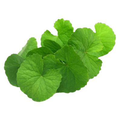 VALLARAI LEGIYAM - வல்லாரை லேகியம் - 250gms