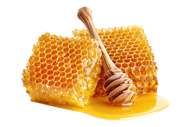 RAW JUNGLE HONEY - காட்டு  தேன்